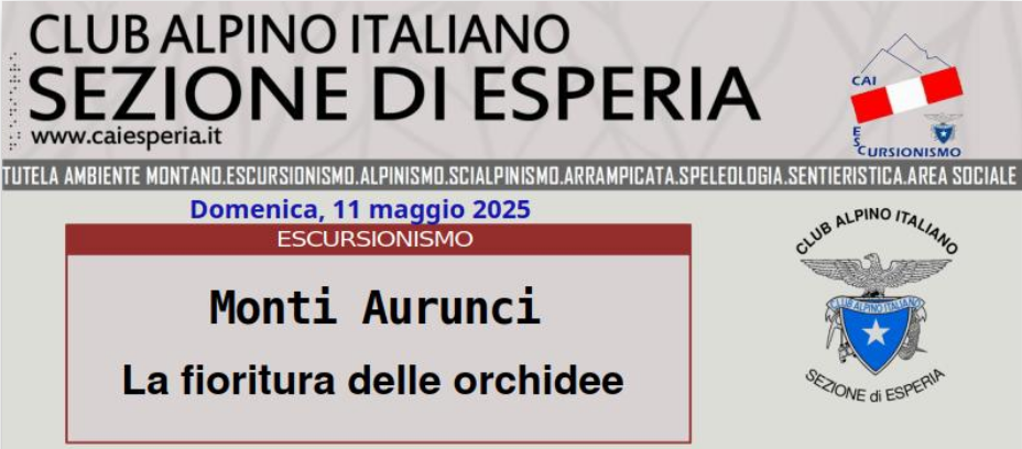 Testata 11 05 2025