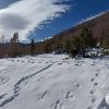 Ciaspolata in Val Fondillo